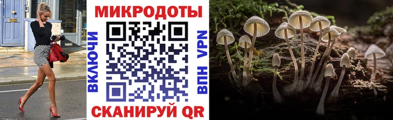 Псилоцибиновые грибы Psilocybine cubensis  что такое наркотик  kraken ссылки  Павловский Посад 